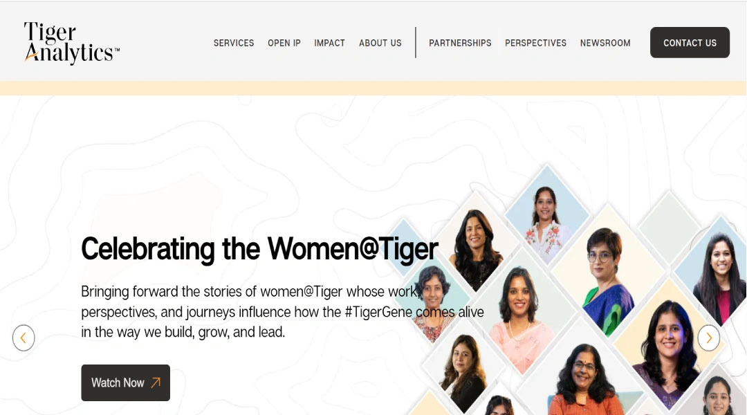 Tiger Analytics